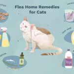Homemade Flea Powder for Cats