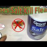 How Long Does It Take Salt to Kill Fleas