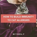 How to Build Immunity to Cat Allergies
