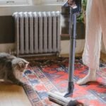 How to Clean House Fleas