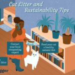 How to Dispose of Cat Litter