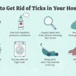 How to Exterminate Ticks in House