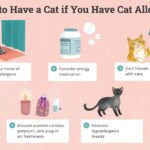 How to Get Rid of Cat Dander