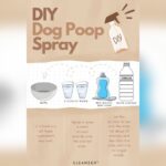 How to Get Rid of Dog Poop Smell