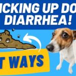 How to Pick Up Soft Dog Poop from Grass