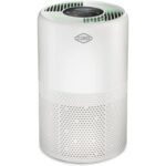 Is a Humidifier Or Air Purifier Better for Dog Asthma