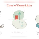 Is Cat Litter Dust Harmful