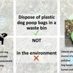 Is Dog Poop Biodegradable