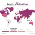 Is It Legal to Eat Dog in the Us