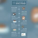 Is Kibble Bad for Dogs