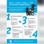 Is Oral Flea Medication Better Than Topical