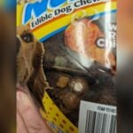 Kirkland Dog Food Recall 2023