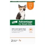 Kitten Flea Treatment