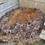 Kitty Litter Compost