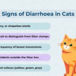 Loose Motions in Cats