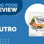 Nutro Dog Food Recall