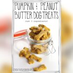Peanut Butter Pumpkin Oatmeal Dog Treats