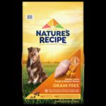 Pumpkin Dog Food Recipe