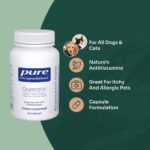 Quercetin for Dogs