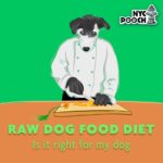 Raw Dog Food Nyc