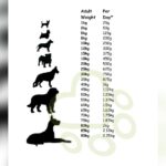 Raw Food Calculator Dog