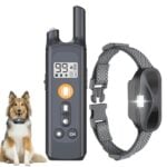 Shock Collar for Long Haired Dogs