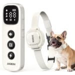 Shock Collar for Small Dogs