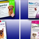 Side Effects of Flea Treatment for Dogs