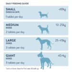 Turmeric Powder Dosage for Dogs
