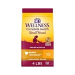 Wellness Puppy Food