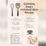 What Oils are Good for Dogs Skin