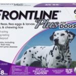 Will Frontline Kill Ticks