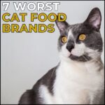 Worst Cat Food Brands
