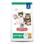 Best Diet for Kittens